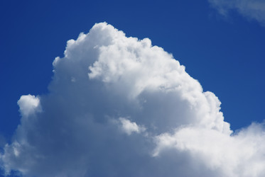 Similar image 387875