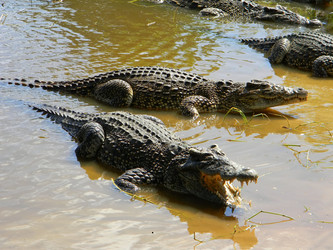 Similar image 387887