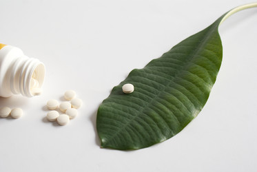 Similar image 387929