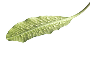 Similar image 387937