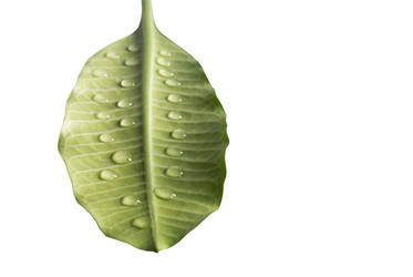 Similar image 387938