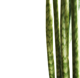 Similar image 387944