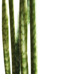 Similar image 387947