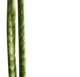 Similar image 387949