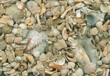 Similar image 388020