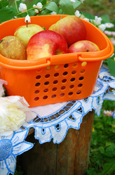 Similar image 388033