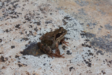 Similar image 388086