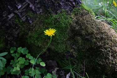 Similar image 388098