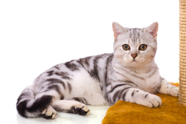 Similar image 388120