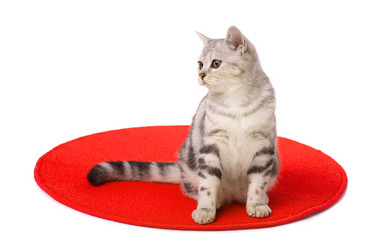 Similar image 388121