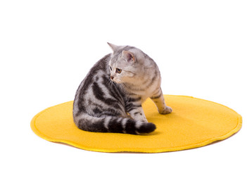 Similar image 388122