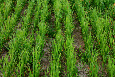 Similar image 388134