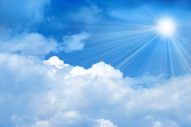 Similar image 388162