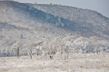 Similar image 388191