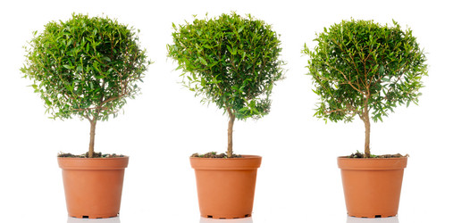 Similar image 388344