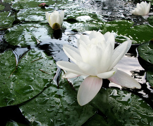 Similar image 388387