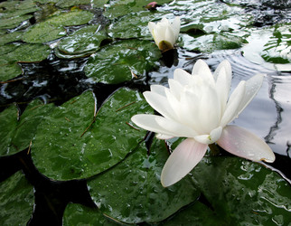 Similar image 388396