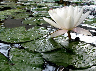 Similar image 388402