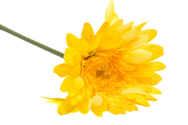 Similar image 388406