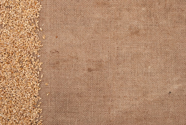 Similar image 388444