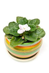 Similar image 388503