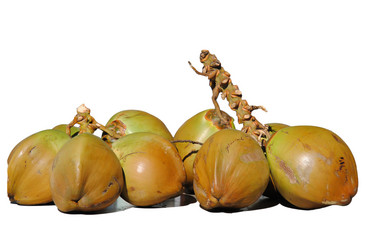 Similar image 388722