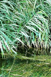 Similar image 388869