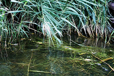 Similar image 388870