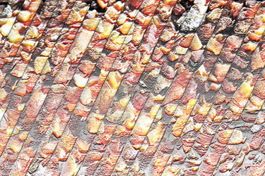 Similar image 388989