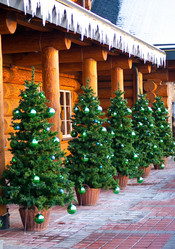 Similar image 388997