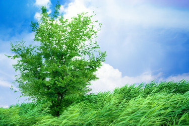 Similar image 389009