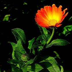 Similar image 389018