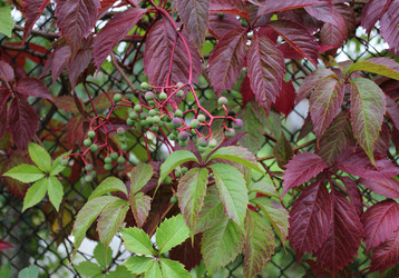 Similar image 389078