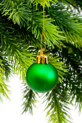 Similar image 389083