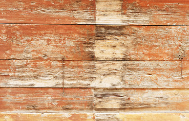 Similar image 389135