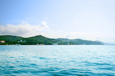 Similar image 389216