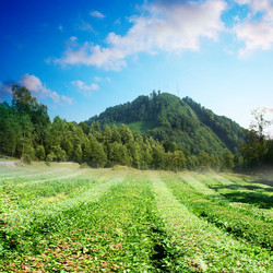 Similar image 389240