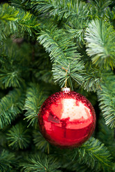 Similar image 389250