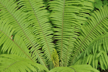 Similar image 389253