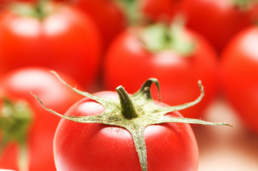 Similar image 389287