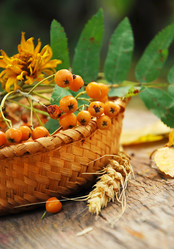 Similar image 389398