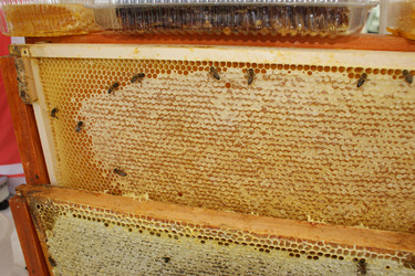 Similar image 389432