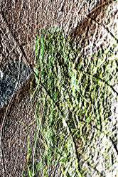 Similar image 389509