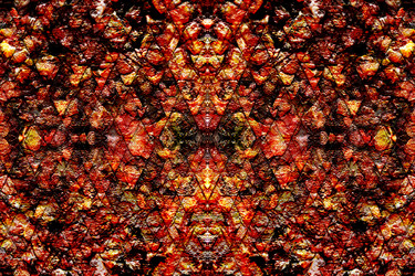 Similar image 389520