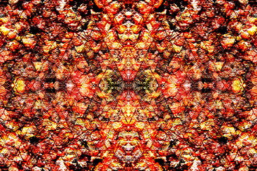 Similar image 389521