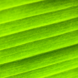 Similar image 389591