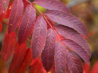 Similar image 389597