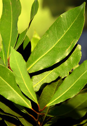 Similar image 389603