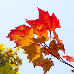 Similar image 389612