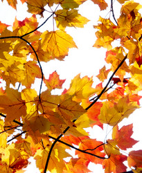 Similar image 389615